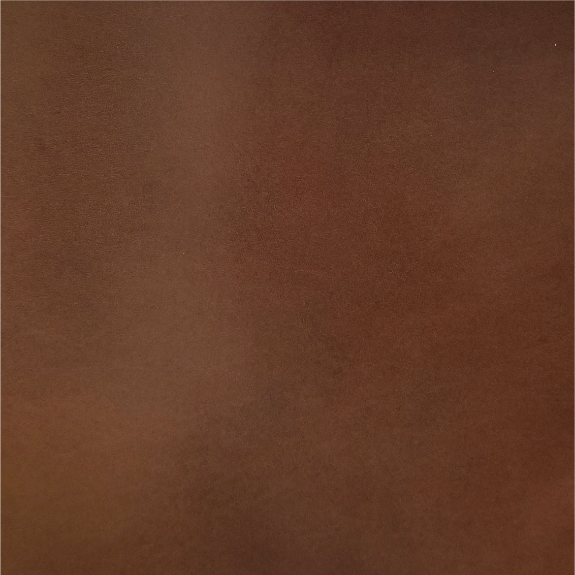 Tochigi Leather | Bifold Medium Wallet | Card Slot, Photo Slot | 栃木牛皮系列 | 兩摺中銀包 | 卡位,相位款式