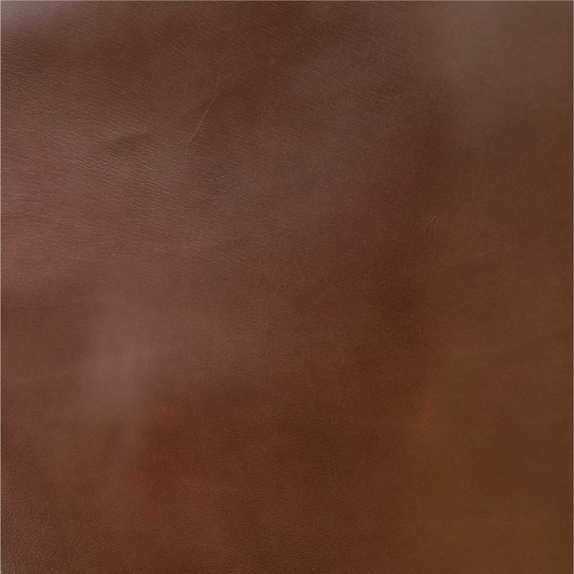 Calf Leather | ID Cardholder with Lanyard | Vertical, Horizontal Style | 小牛皮系列 | 掛頸職員卡套 | 直款橫款