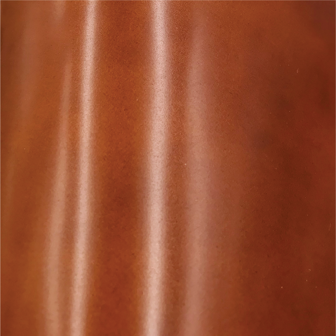 Add-on | Upgrade to Cordovan Cover Leather (for short wallet) | 附加服務 | 升級至馬臀皮封面 (僅適用於兩摺短銀包)