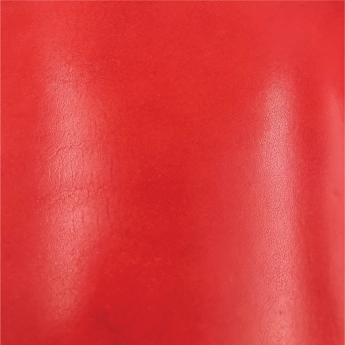 Tochigi Leather | Bifold Short Wallet | Coins Pocket Design | 栃木牛皮系列 | 兩摺短銀包 | 零錢包款式